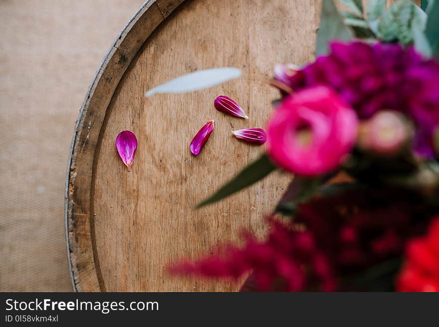 Selective Focus Photography of Pink Petals