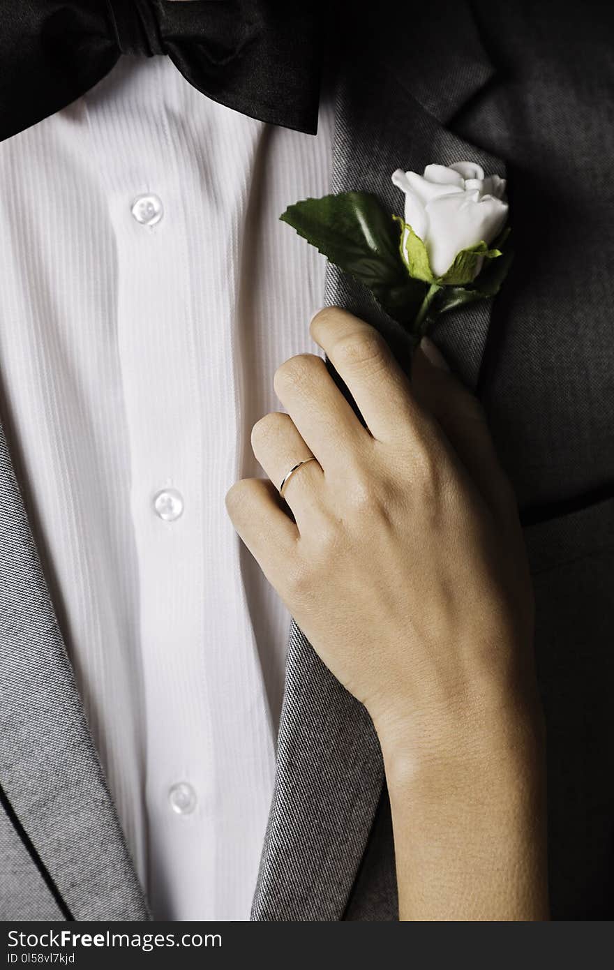 Person Holding White Rose