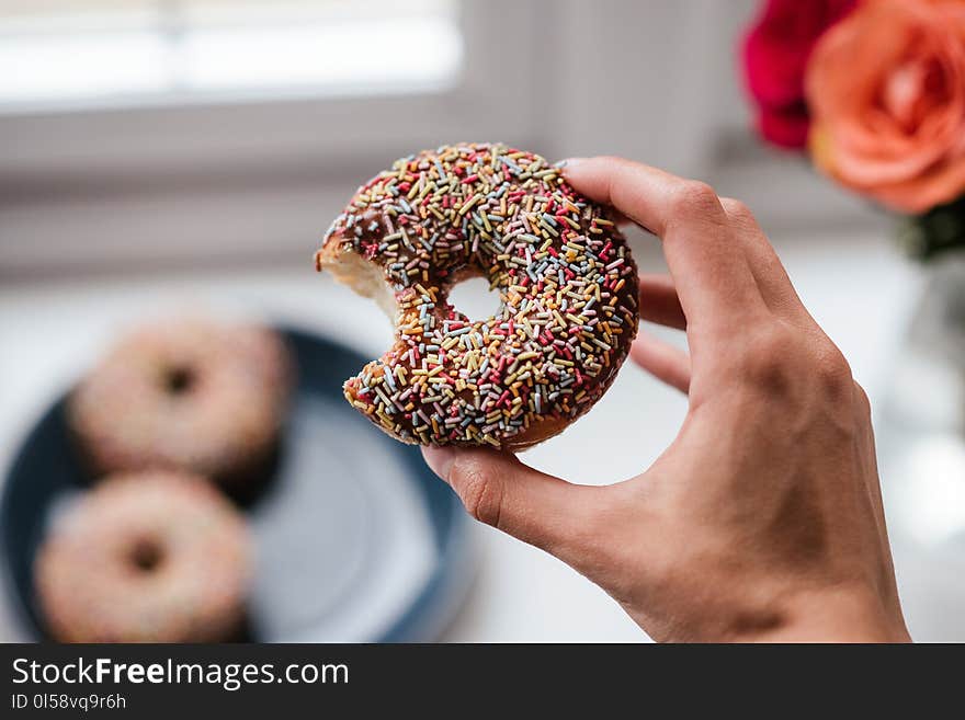 Person Holding Doughnut With Sprinkles