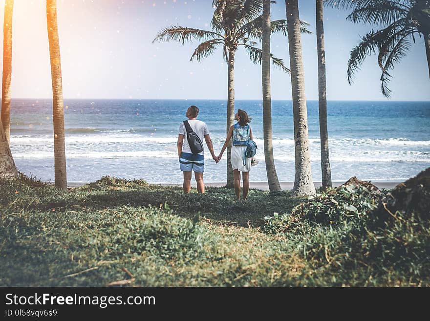 Man and Woman Holding Hand Near Beach Shore Under Sunny Sky