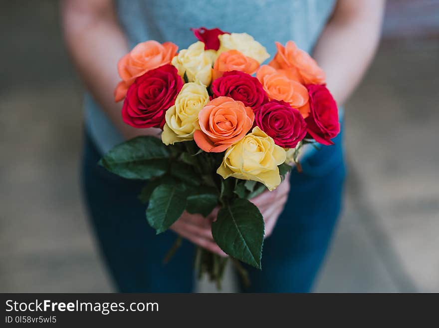 Person Holding Multicolored Petaled Flower Bouquet