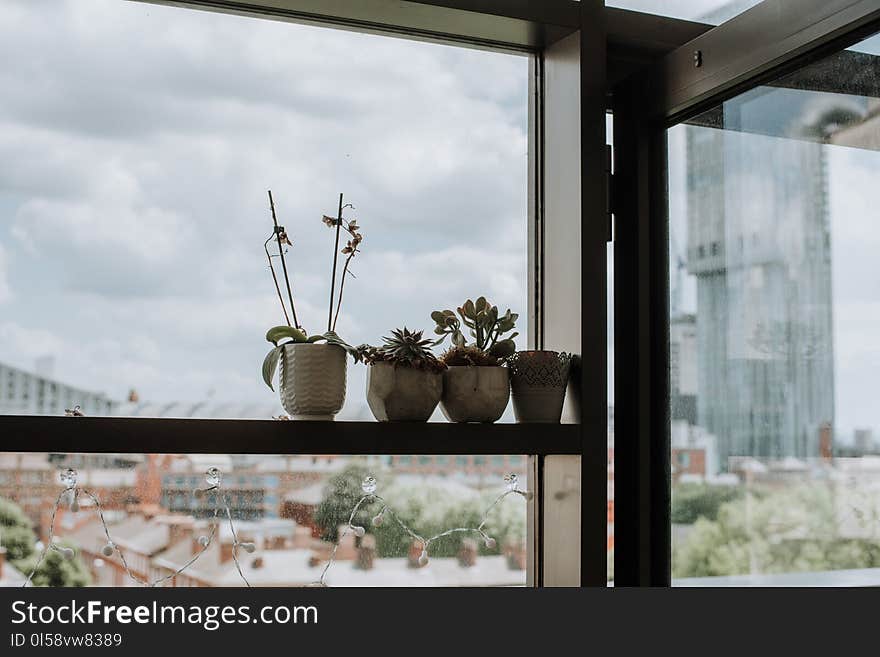 Four White Ceramic Pot on Clear Glass Window