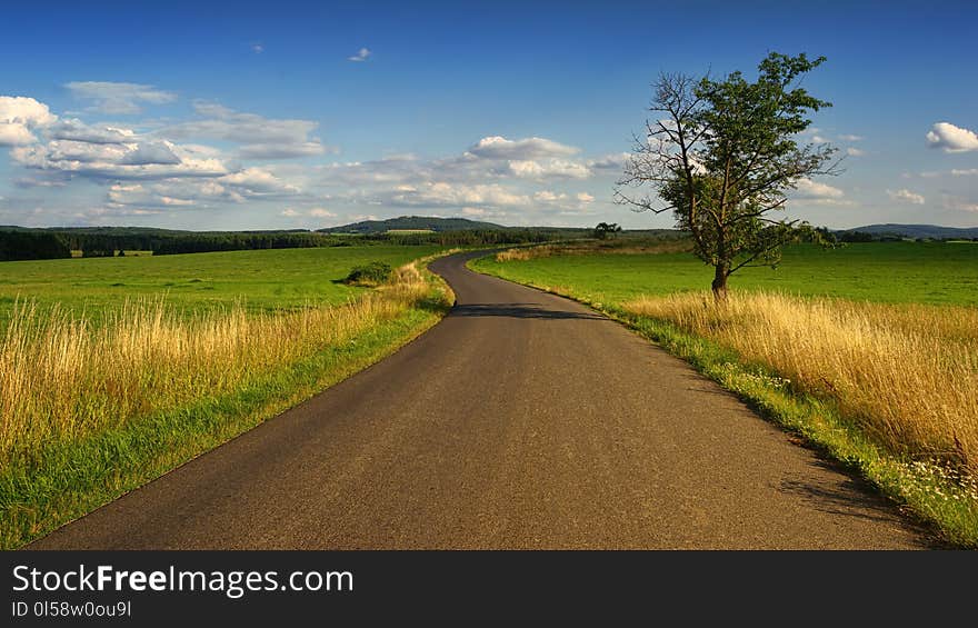 Photo of Road in the Middle of the Grass Field