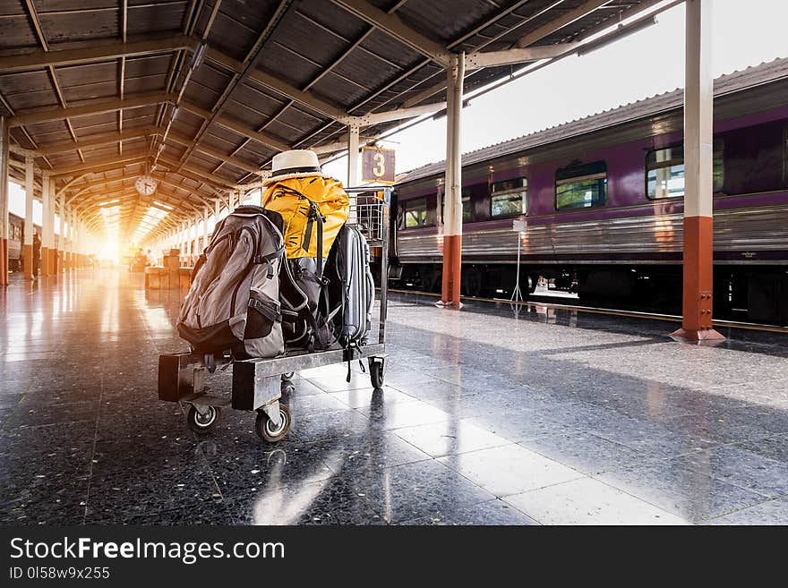 Several Bags on Trolley Near Train in Station