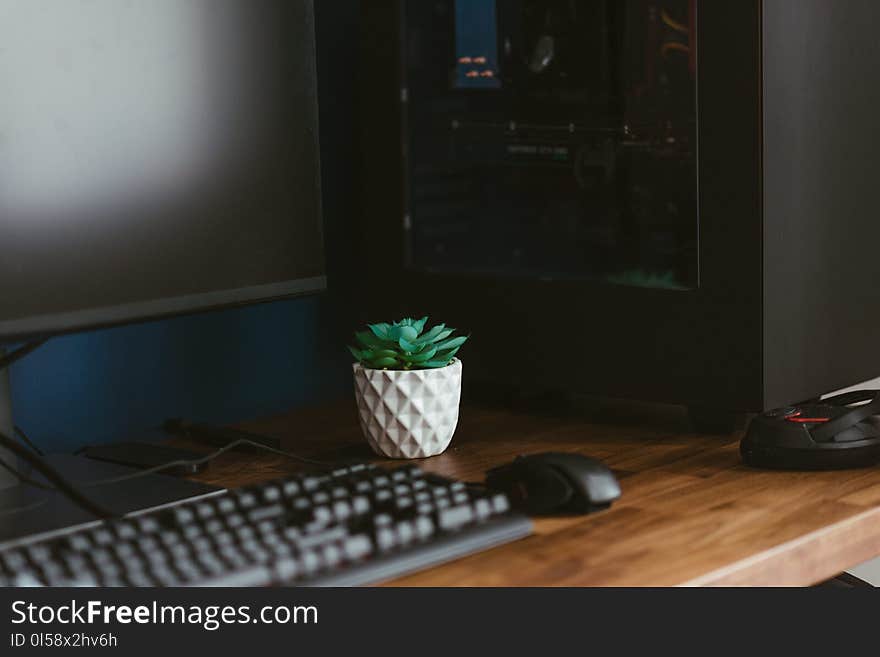 White Ceramic Vase Near Black Computer Keyboard