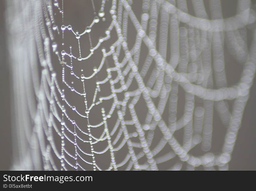 Spider Web, Textile, Lace, Pattern