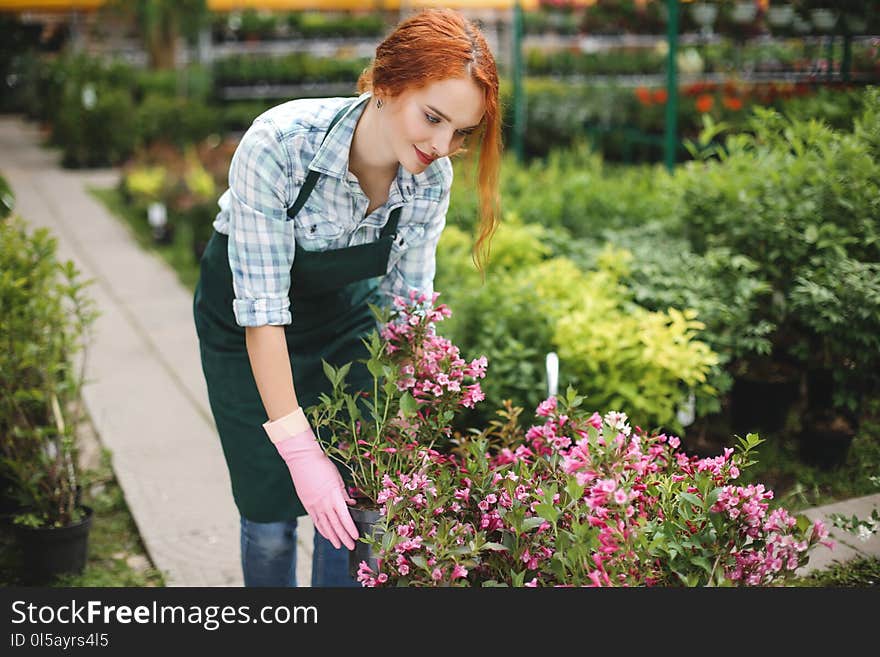 Beautiful florist in apron and pink gloves standing and happily working with flowers in greenhouse