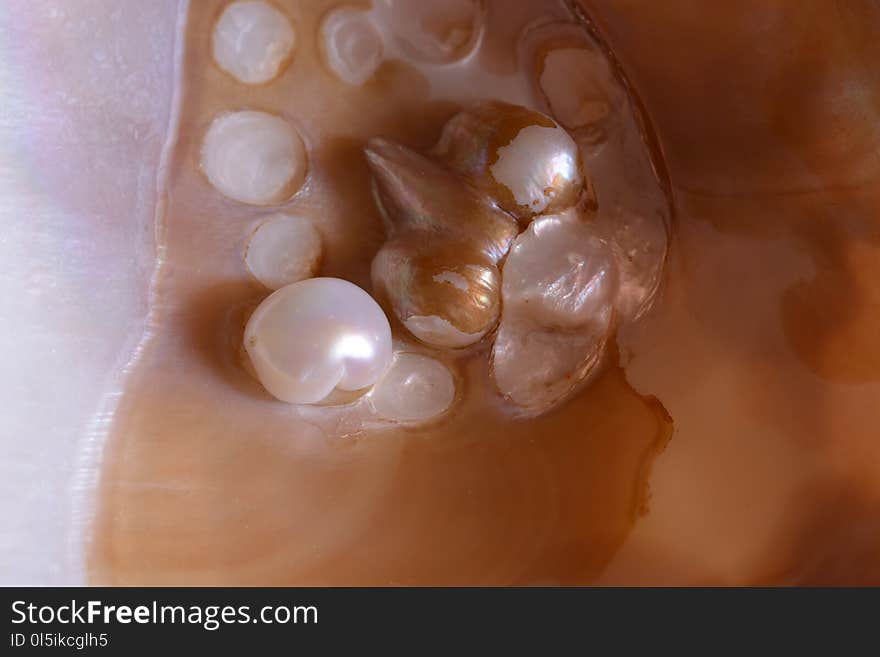 Oyster pearls and background