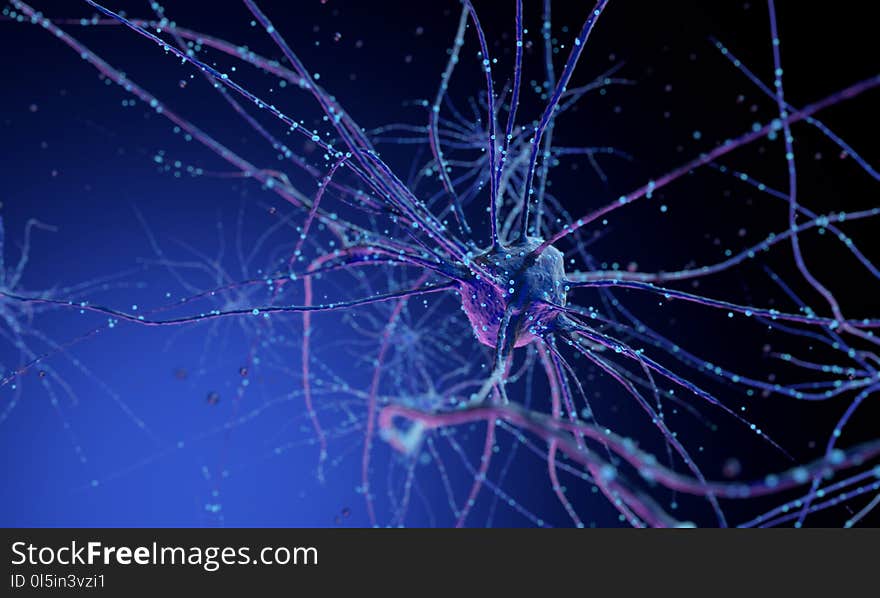 3d Neuron Cells