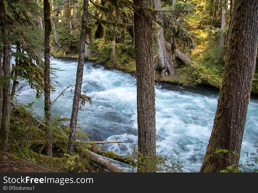 Waterfalls in Willamette National Forest, Oregon. Willamette River. Waterfalls in Willamette National Forest, Oregon. Willamette River