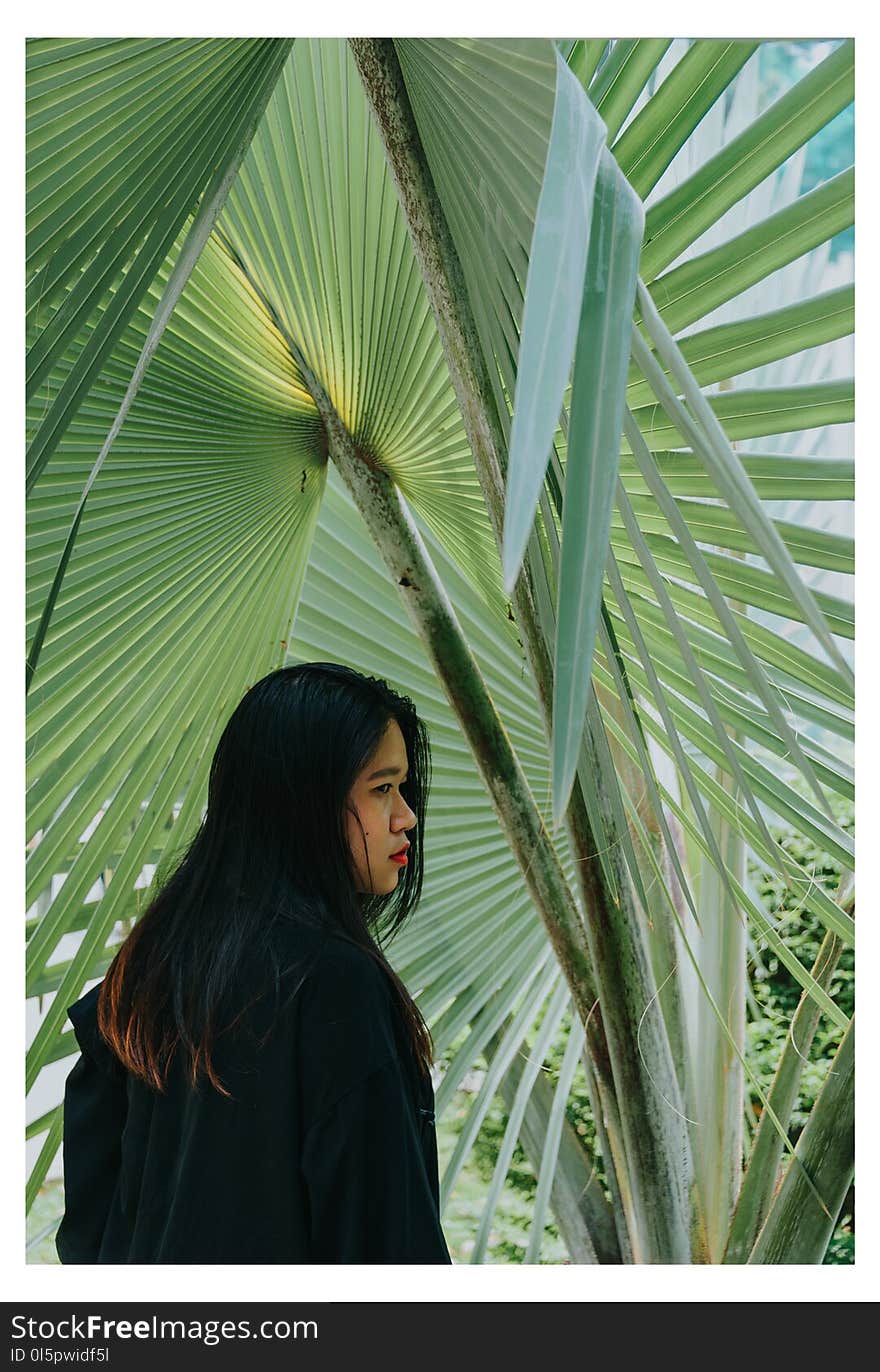 Woman in Front of Green Leafed Tree