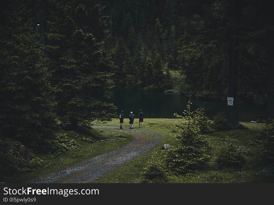 Photography of People Walking on Dirt Road