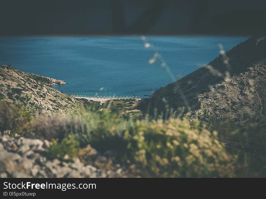 Shallow Focus Photography of Green Grass Field