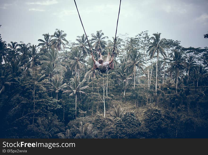 Person Wearing White Shirt Riding Gray Swing Background of Trees