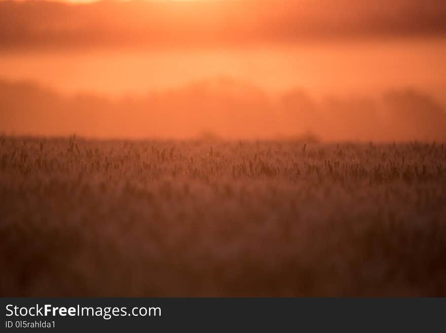 Amazing rural natural background of setting sun in the feild. Amazing rural natural background of setting sun in the feild