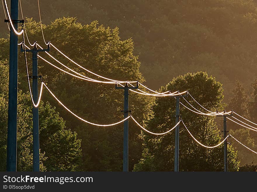 Wires on electric power lines beautifully illuminated by sunset. They bring light to the village near the forest. Wires on electric power lines beautifully illuminated by sunset. They bring light to the village near the forest.
