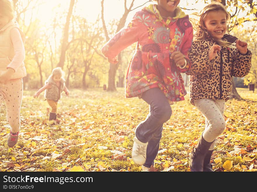 Kids running trough park together. Day for fun at nature. Kids running trough park together. Day for fun at nature.