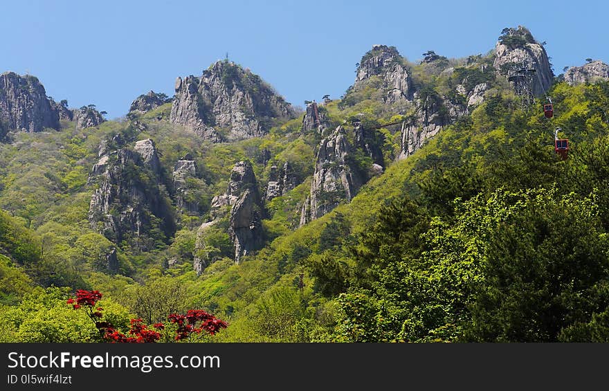 Vegetation, Mountainous Landforms, Mountain, Mount Scenery