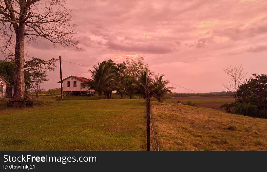 Sky, Cloud, Farm, Property