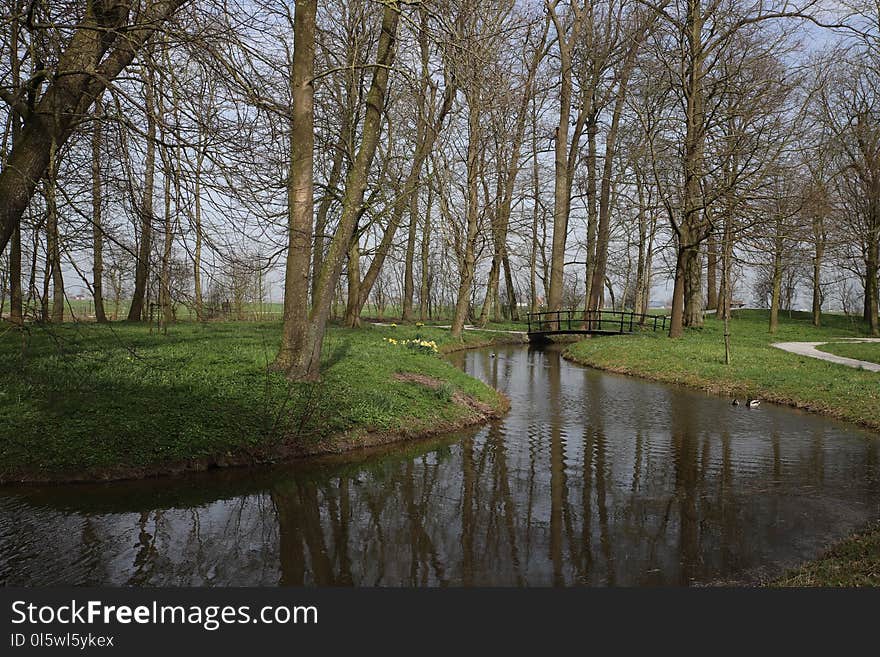 Waterway, Reflection, Water, Tree