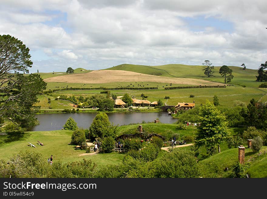 Grassland, Pasture, Highland, Rural Area