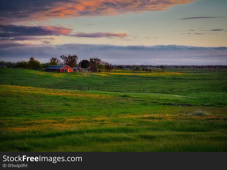 Grassland, Sky, Field, Prairie