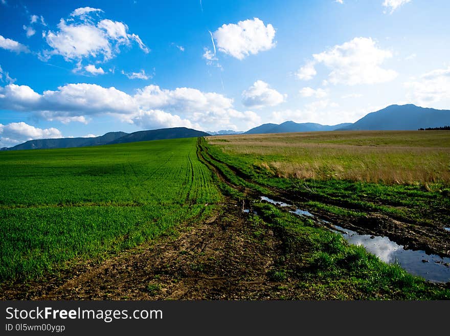 Grassland, Field, Sky, Plain