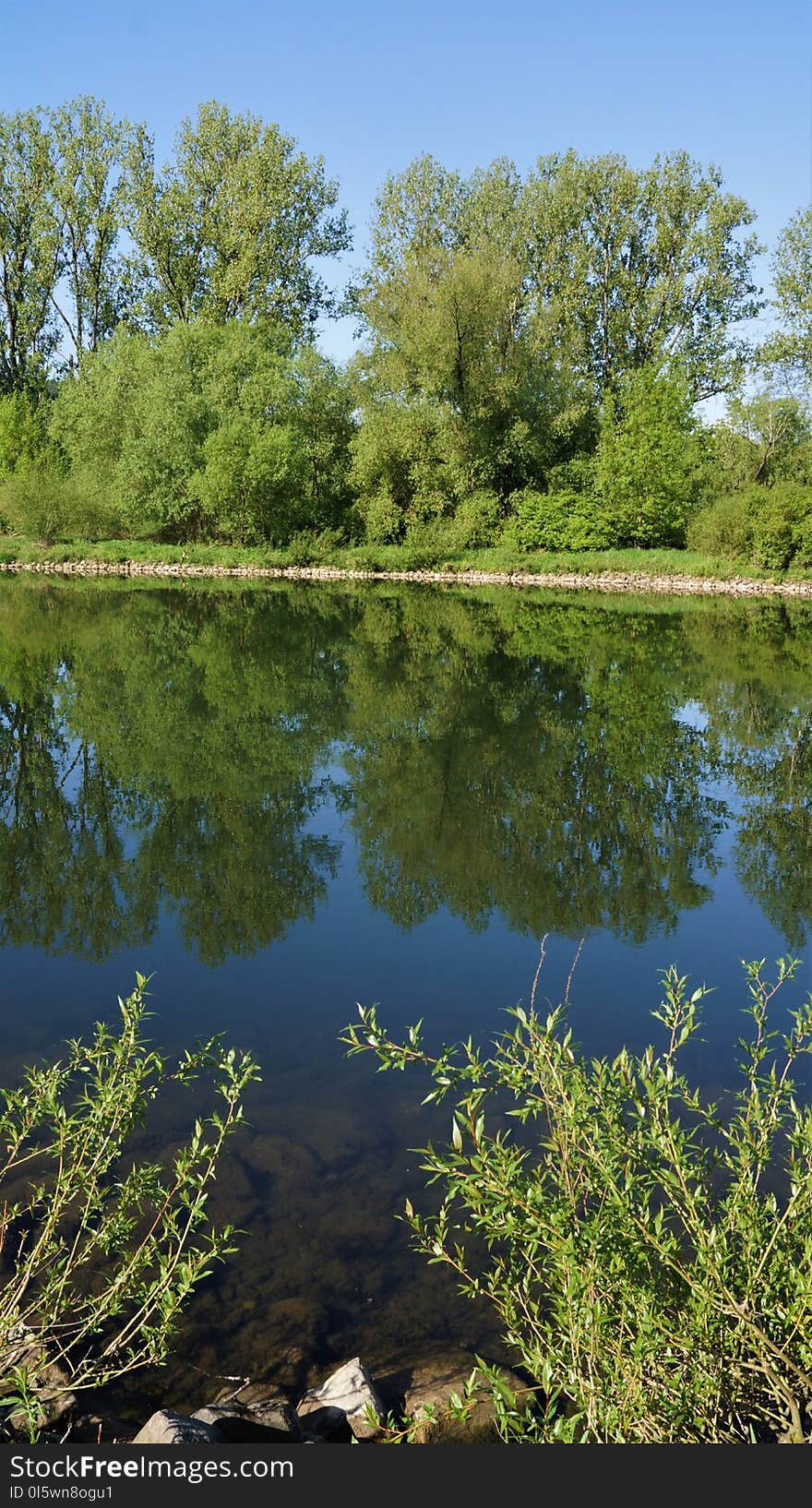 Reflection, Water, Nature, Waterway