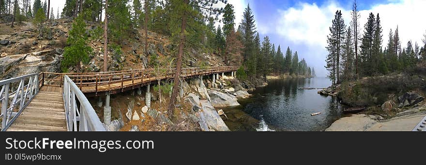 Nature Reserve, Wilderness, Tree, River