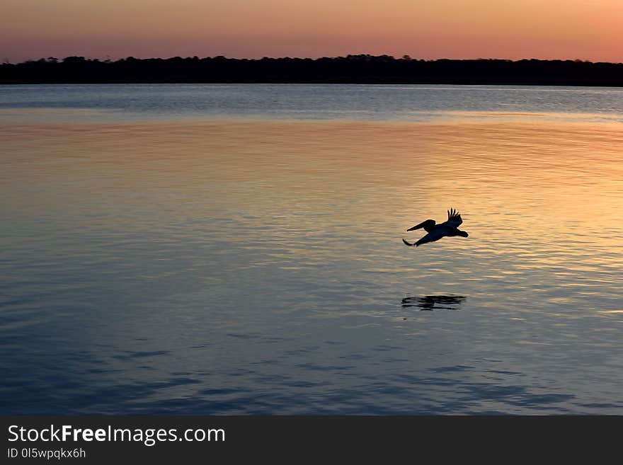 Sky, Water, Calm, Sunrise