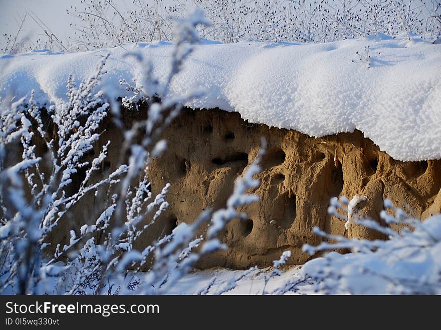 Snow, Winter, Freezing, Frost