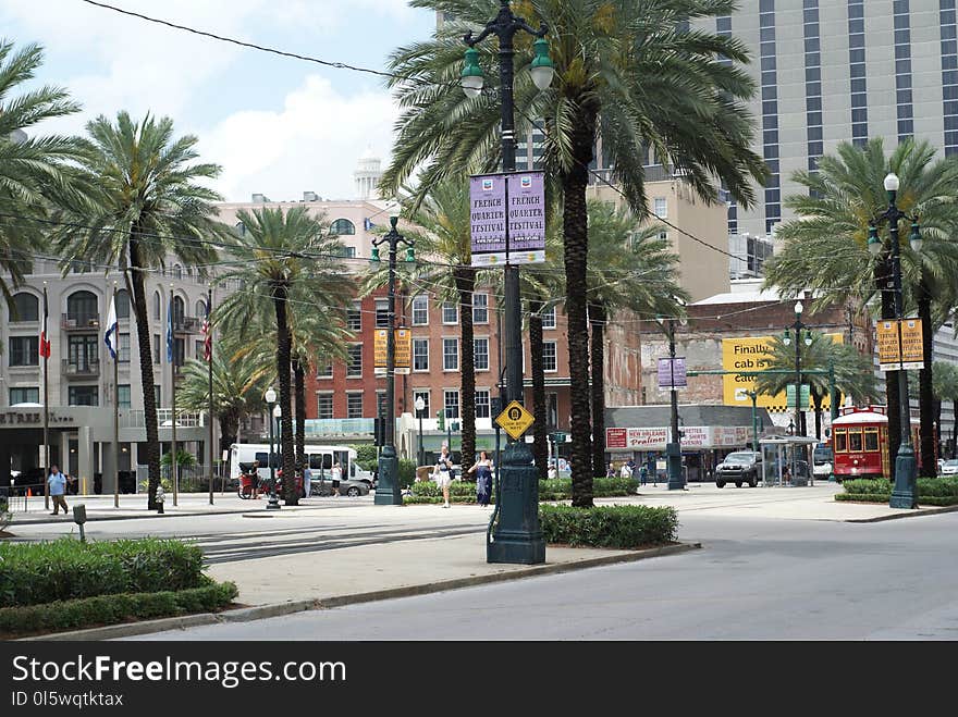 City, Tree, Palm Tree, Mixed Use