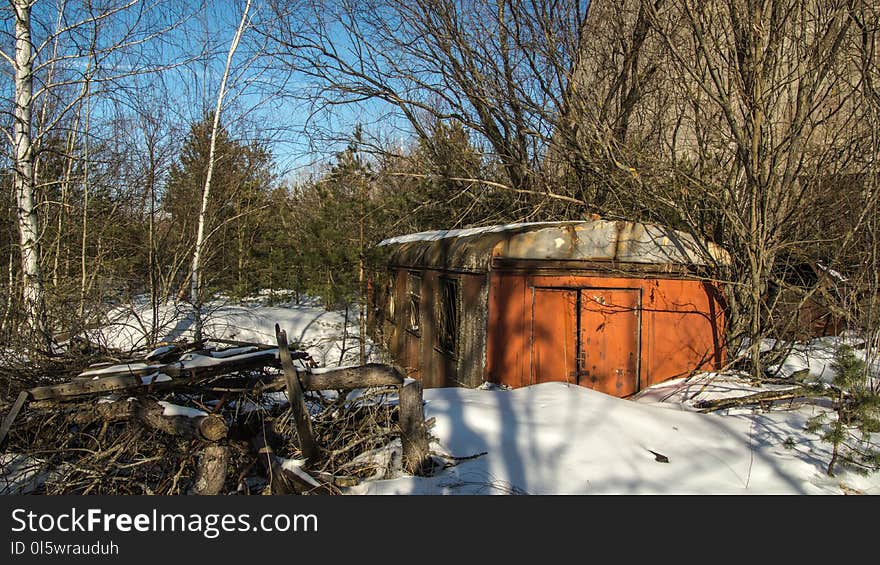 Winter, Snow, Shack, Tree