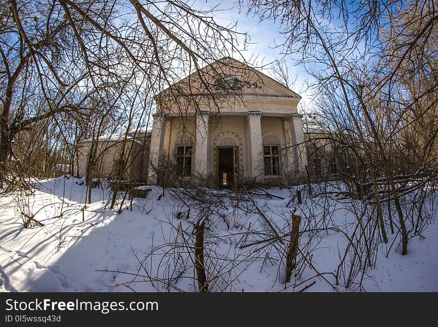 Winter, Snow, Property, Tree