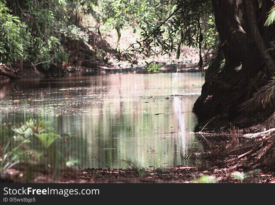 Nature Reserve, Body Of Water, Water, Vegetation