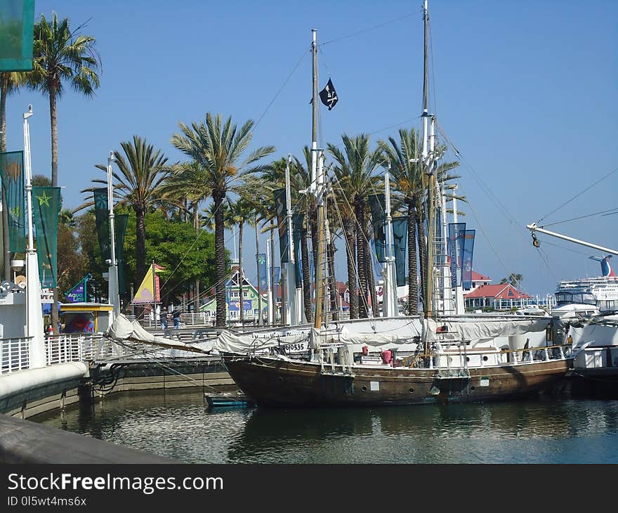 Marina, Water Transportation, Harbor, Boat