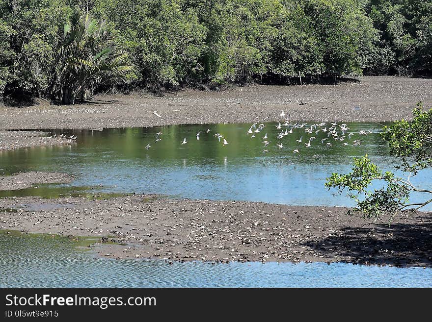 Water, Body Of Water, Nature Reserve, Reflection