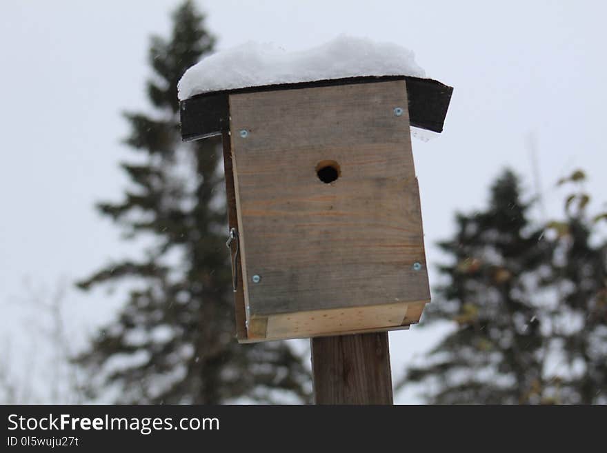 Birdhouse, Winter, Snow, Wood