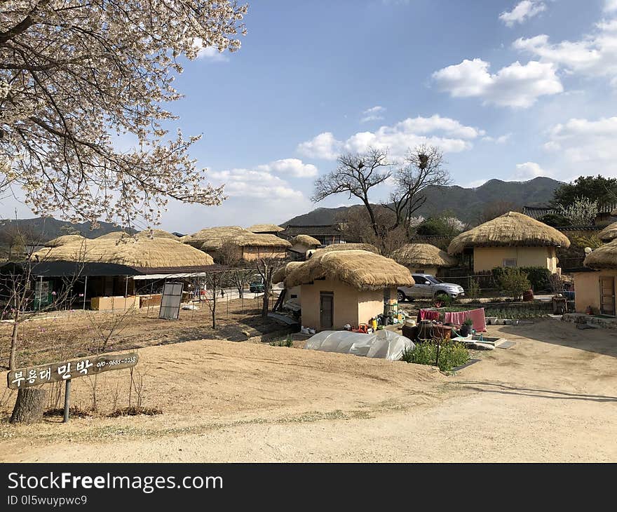 Thatching, Village, Tree, Hut