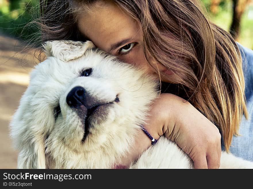 Happy smiling teen girl embracing a cute puppy of a pyrenean mountain dog holding it on her hands in summer day outdoors