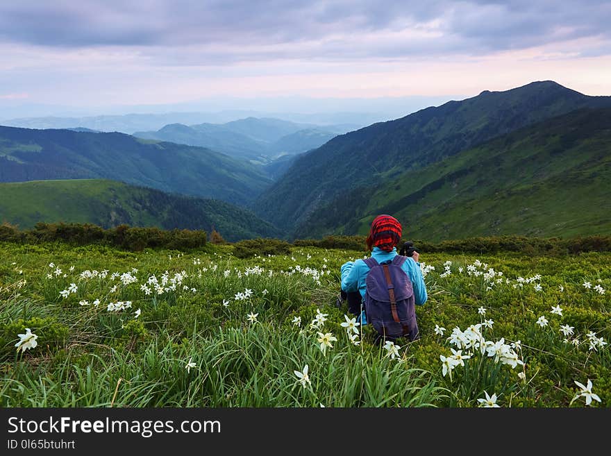 The tourist girl with back sack and tracking sticks sits on the lawn of daffodils. Relaxation. Mountain landscapes.