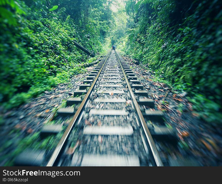 Antique railway in tropical forest &#x28;rainforest jungle&#x29; with green vegetation and motion sensation. It&#x27;s located in San Cipriano, Valle del Cauca, Colombia. In Spanish is called: brujitas &#x28;little witches&#x29;.