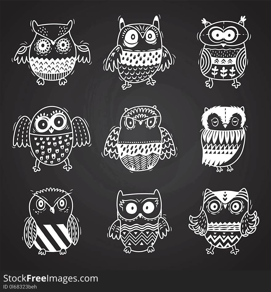 Cartoon owls in chalkboard background. Vector illustration