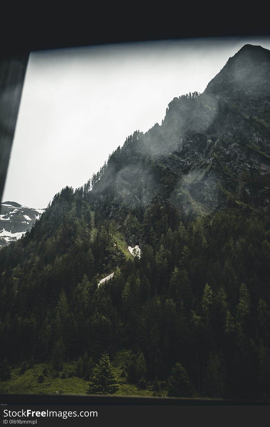 Mountain Ranges With Trees Screengrab