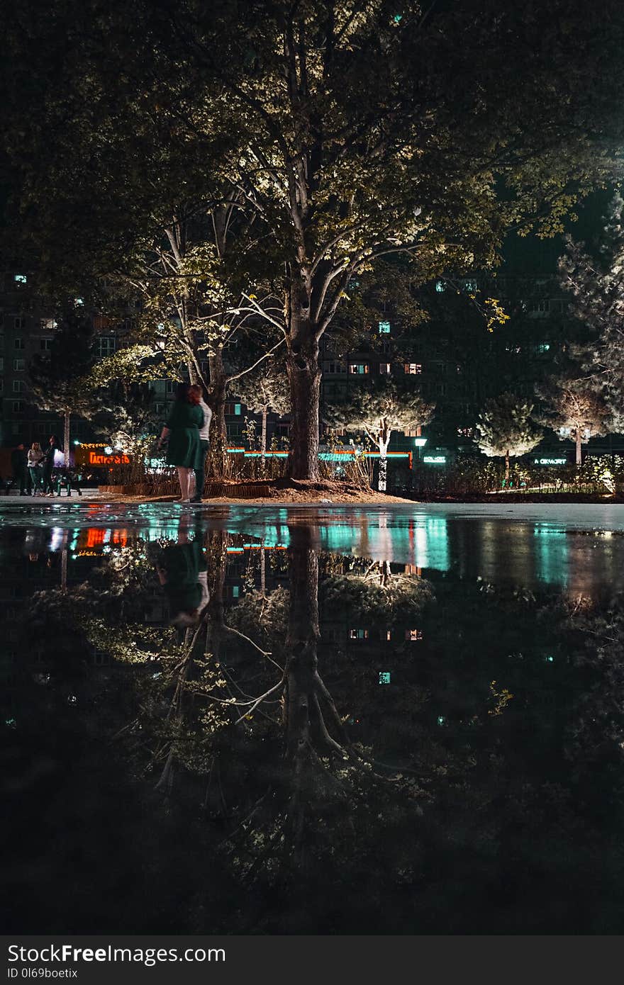 Photo of Green Leafed Trees Near Body of Water during Night