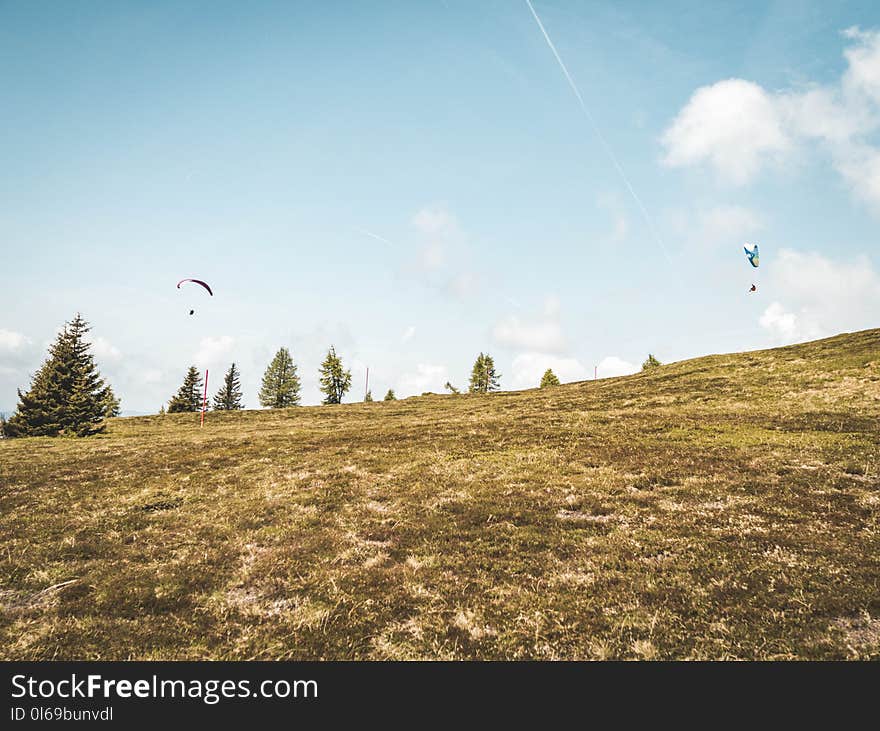 Grass Field Under Blue Sky