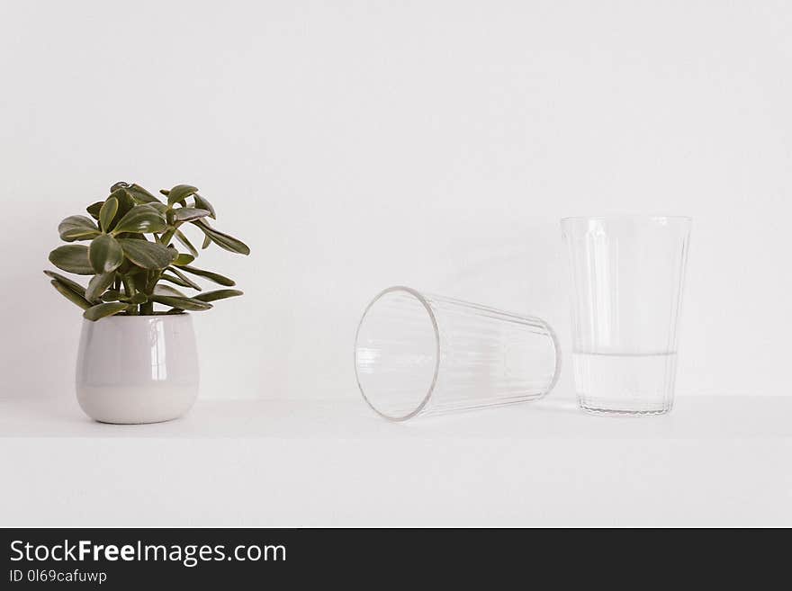 Two Clear Glass Drinking Cups