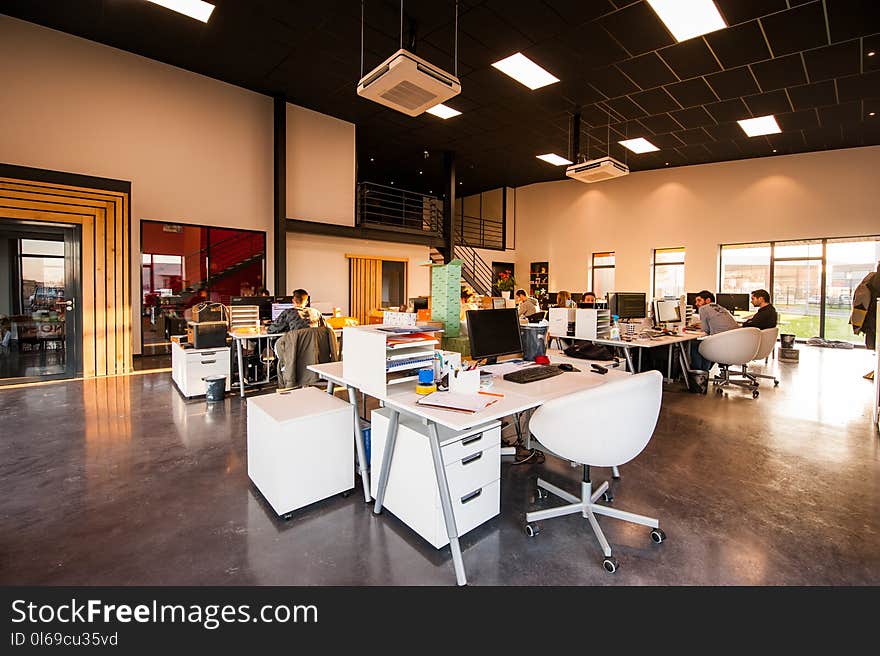 People Sitting on Chairs Beside their Desks in an office