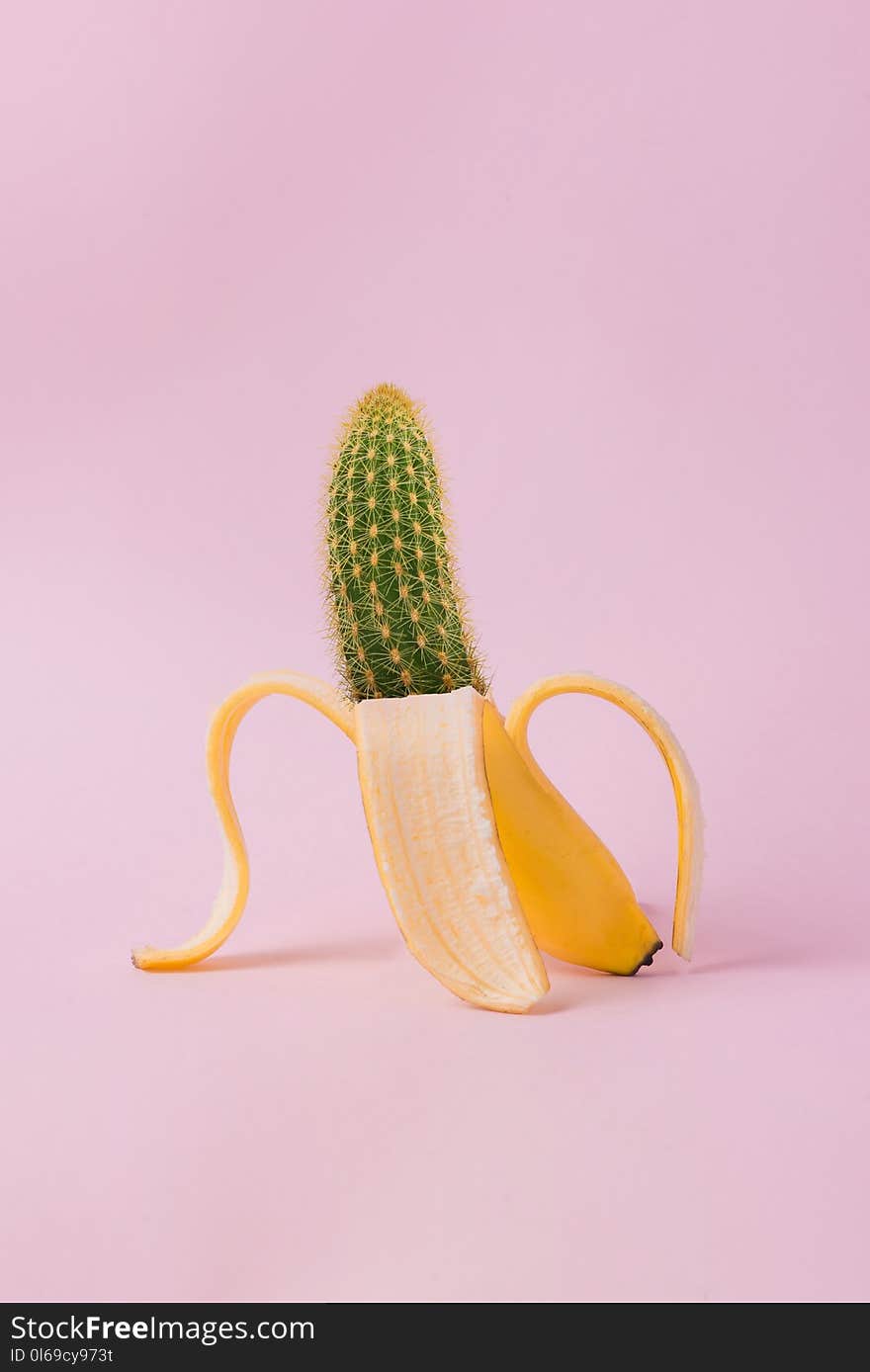 Edited Photo of Banana and Cactus