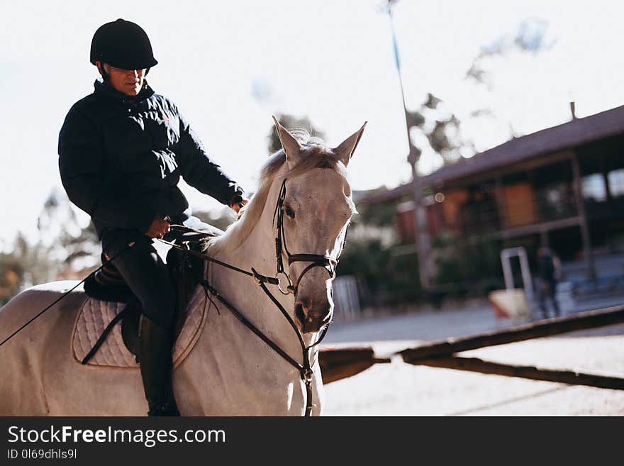 Man Riding on Horse